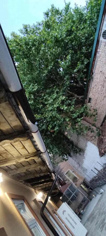 Apartmani Dld Ns Novi Sad Esterno foto
